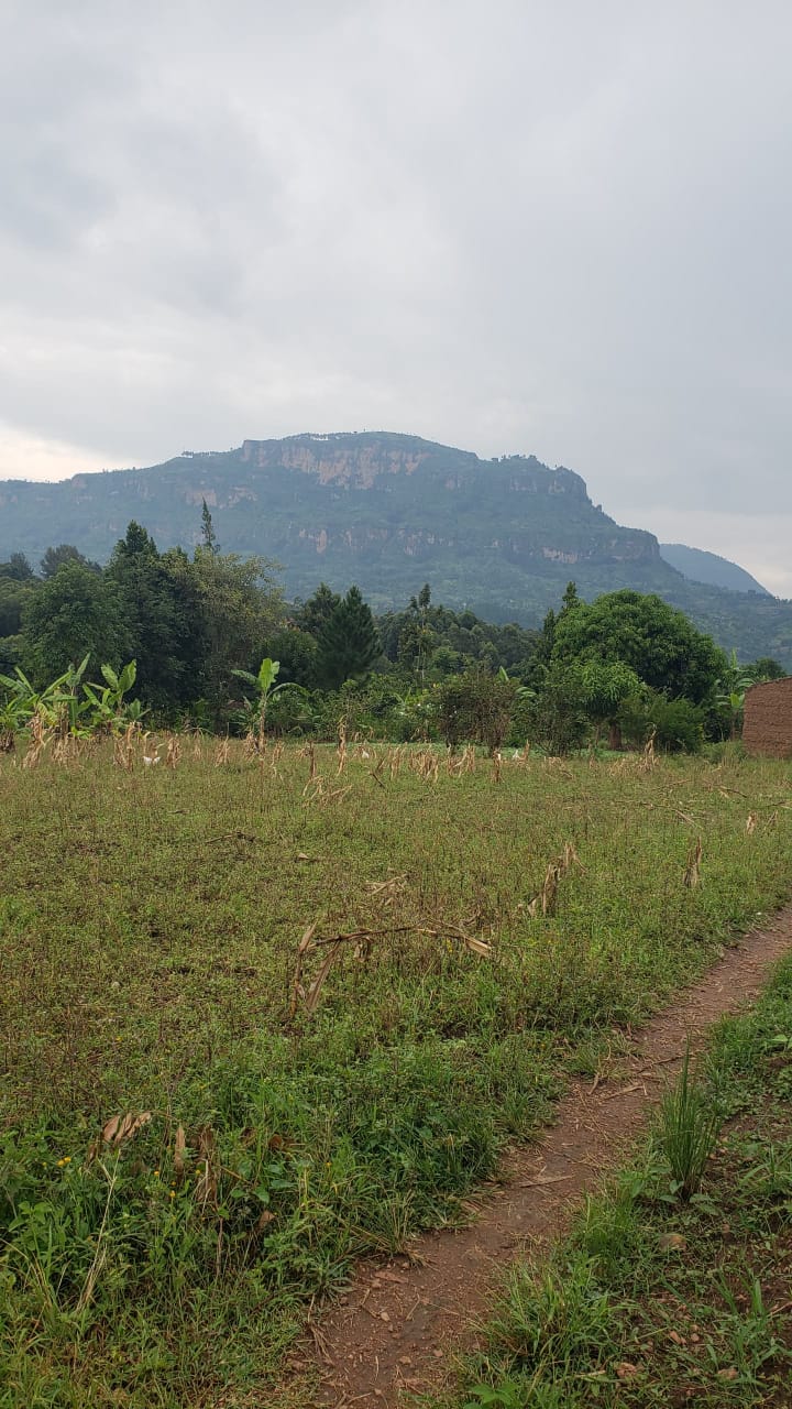 Nyondo Mbale 1 Acre